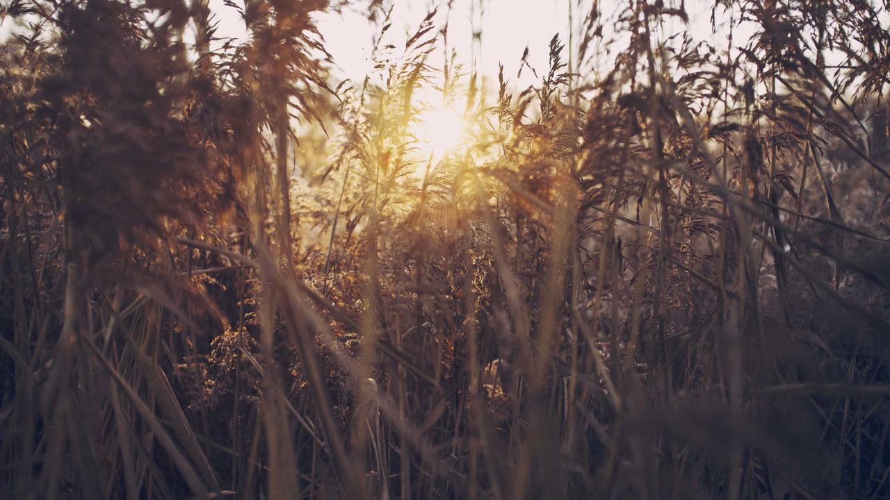 联系我们